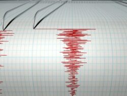 Gempa 5,1 Magnitudo Guncang Kolaka, Sulteng, Ini Penjelasan BMKG