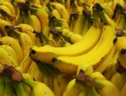 Penyakit Apa yang Bisa Diatasi dengan Makan Pisang? Ini 16 Daftarnya