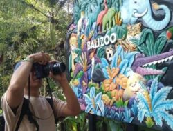 Harga Tiket Bali Zoo Terbaru 2025, Jam Buka, dan Cara Belinya