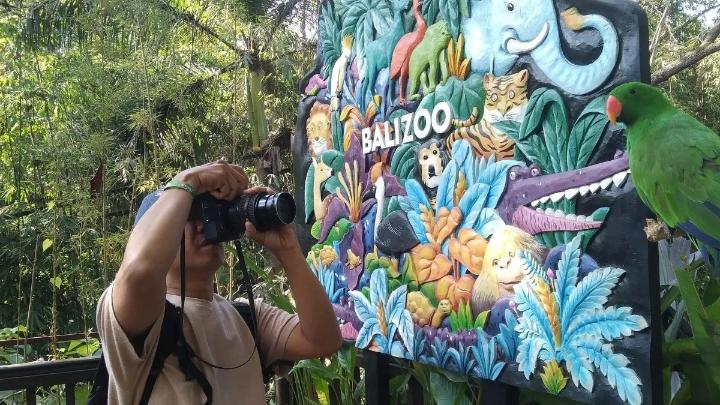 Harga Tiket Bali Zoo Terbaru 2025, Jam Buka, dan Cara Belinya