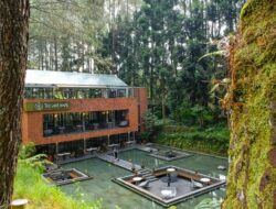 5 Tempat Makan di Dekat Taman Safari Bogor untuk Makan Siang