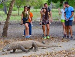 Wisata NTT, Liburan ke Labuan Bajo,Inilah 9 Pulau di Taman Nasional Komodo,Kunjungi Saat Liburan