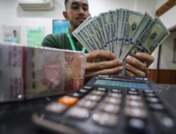 Riwayat Tebaran Dividen Bank Jumbo BBRI, BBCA Cs Selama 5 Tahun, Siapa Paling Royal?