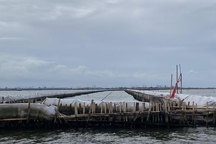 Dedi Mulyadi Usul Pagar Laut Bekasi Dibongkar karena Tak Berizin