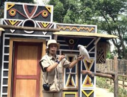 7 Daya Tarik Enchanting Valley by Taman Safari, Lihat Satwa hingga Nonton Teater Musikal