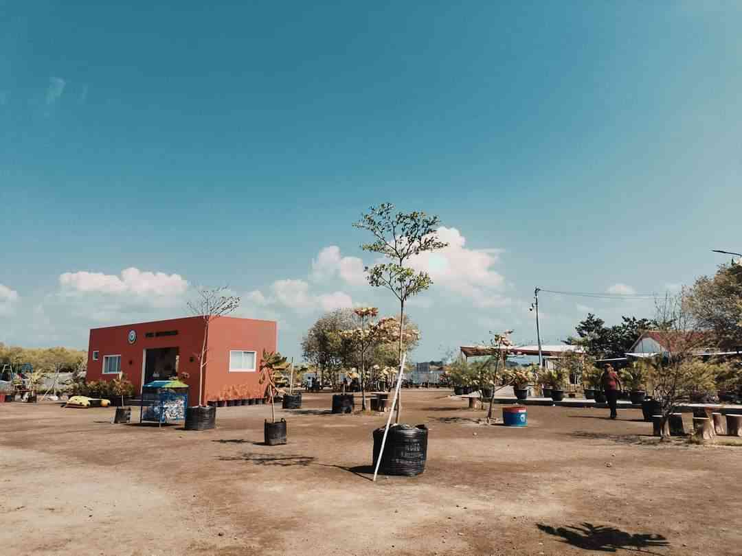 Pantai Kejawanan Hidden Beach Cirebon yang Wajib Dikunjungi untuk Liburan Asik dan Instagramable