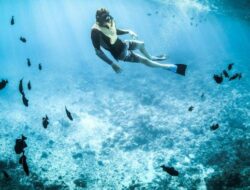 Daya Tarik Pulau Anano di Kabupaten Sikka, NTT: Spot Snorkeling Favorit Para Pencinta Alam