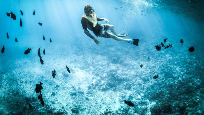 Daya Tarik Pulau Anano di Kabupaten Sikka, NTT: Spot Snorkeling Favorit Para Pencinta Alam