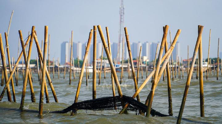 Pagar Laut Tangerang Tak Lagi Misterius, Perusahaan Aguan Kuasai Saham Mayoritas Pemilik HGB di Sana