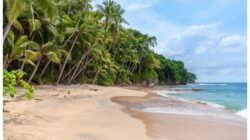 Healing ke Pantai Lakban di Minahasa Tenggara, Sulawesi Utara: Tiket Masuk Cuma Rp 5 Ribu