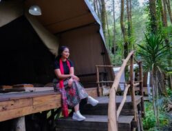 De Loano Glamping: Sensasi Berkemah Mewah di Tengah Rimbunnya Menoreh