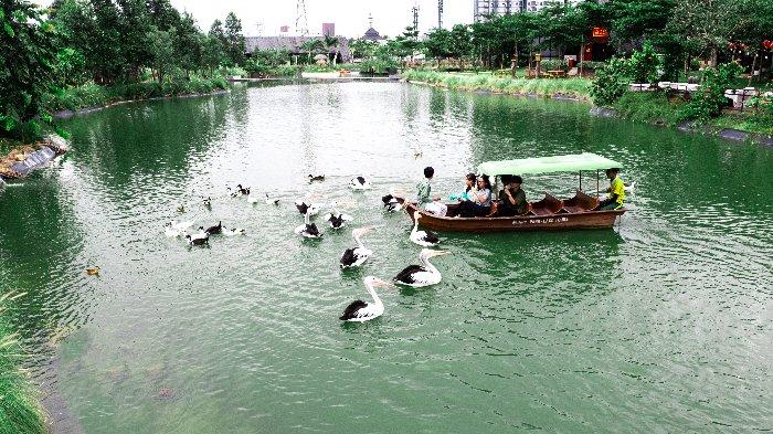 Panduan Rute ke Wisata Aviary Park Indonesia di Bintaro Naik Transportasi Umum dan Kendaraan Pribadi