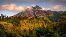 5 Aktivitas Ekowisata Alam di Kali Talang Klaten,dari Tracking Hingga Eco Tourism