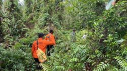 Belum Ditemukan Sampai Hari ke-7,Pencarian Korban Hilang di Hutan Sei Ahas Kapuas Dihentikan