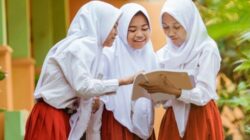 5 Fakta Sistem Penerimaan Murid Baru atau SPMB 2025