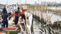 PT TRPN Akui Pelanggaran Pagar Laut di Bekasi, Hadapi Sanksi dan Kewajiban Pembongkaran