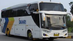 DAMRI Mulai Buka Pemesanan Tiket Bus buat Mudik Lebaran