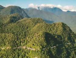 Wisata Puncak Gunung Geurutee: Lokasi, Rute, dan Jam Buka