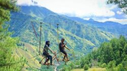 Menikmati Udara Sejuk di Dante Pine Enrekang, Bisa Foto-foto dengan Latar Gunung Nona