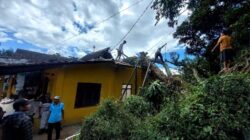 Pohon Tumbang Timpa Rumah di Bandungan, Lansia 80 Tahun Terluka