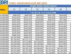 Tabel Angsuran KUR BRI Februari 2025 dan Cara Pengajuannya: Pinjaman Rp1 – 150 Juta,Ini Cicilannya